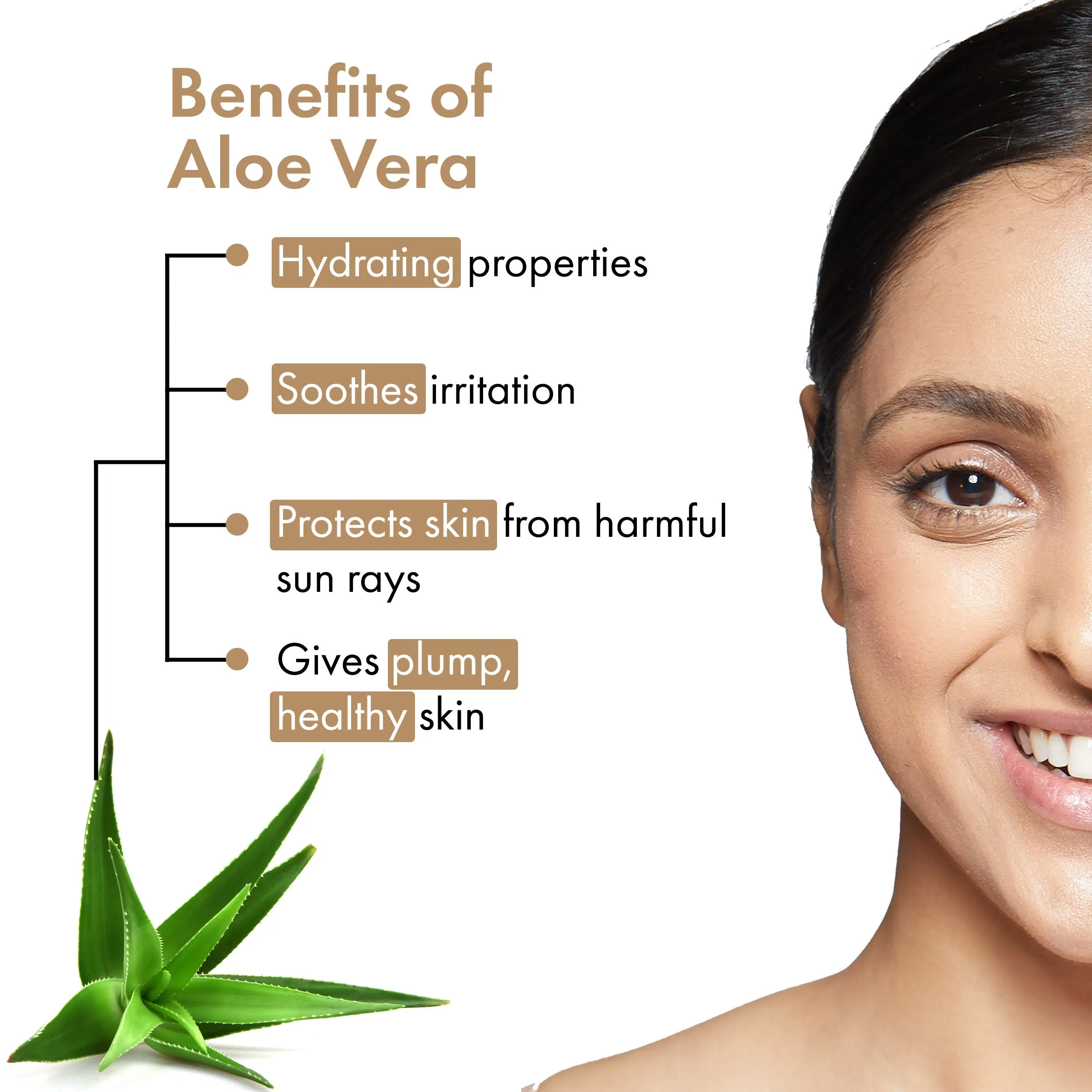 Aloe Vera & Shea Butter Hydrating Sunscreen Lotion SPF 50
