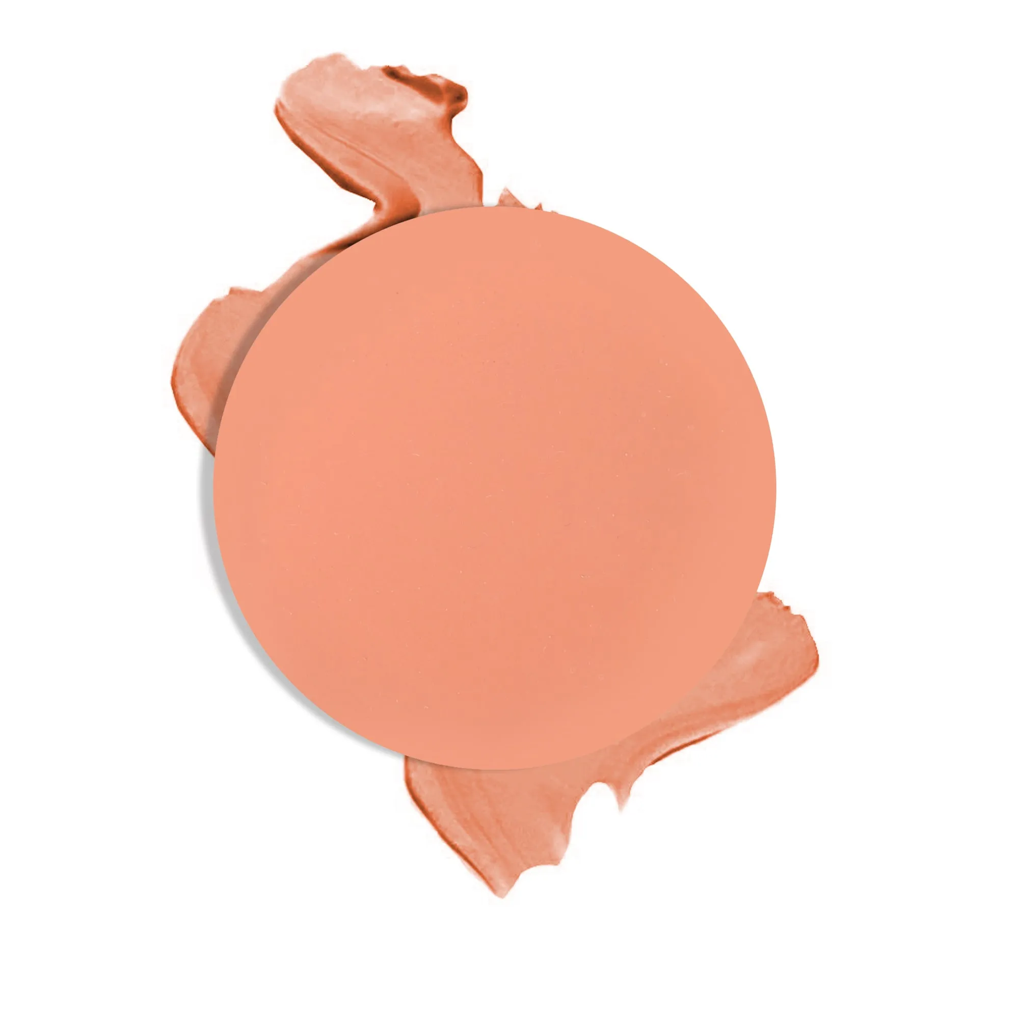 DUAL LIP AND CHEEK REFILLS