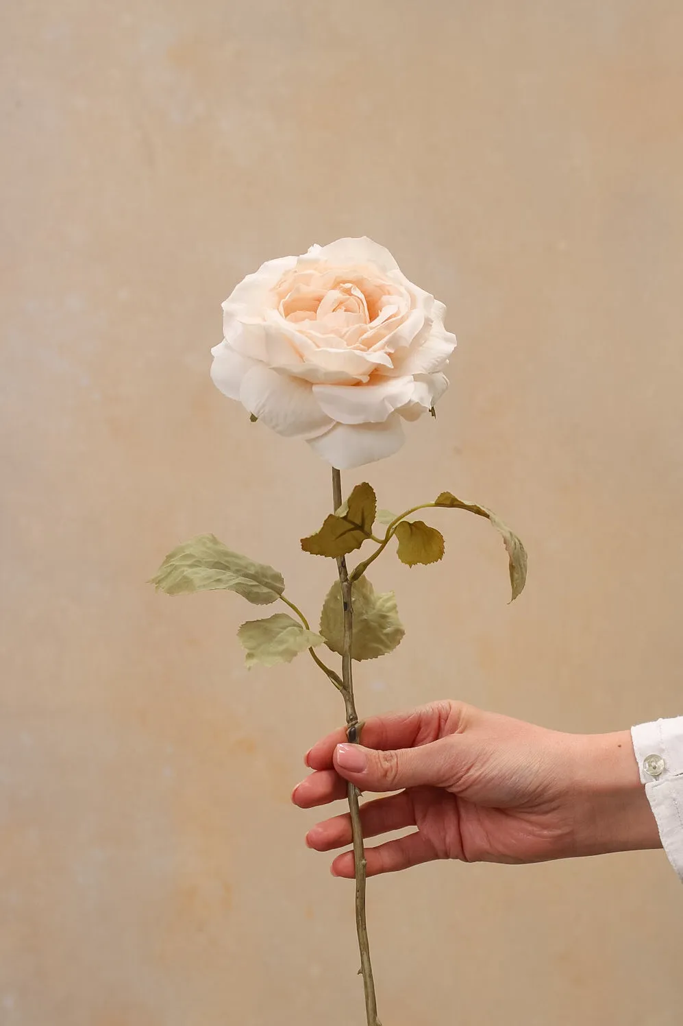 Faux Muted Blush Rose Stem