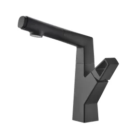 Liftable Bathroom Faucet with Pull Out Sprayer Dual Mode Single Handle Basin Faucet RB1195